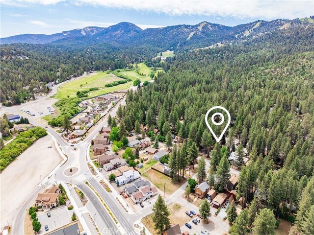 749 Birch St, Big Bear, CA 92315 - photo 41