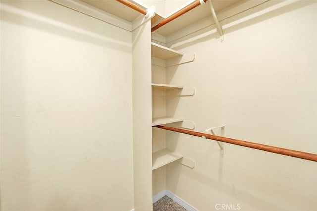 9425 Oak Hills Ave, Bakersfield, CA 93312 - view of spacious closet