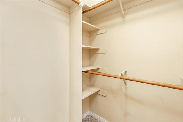 9425 Oak Hills Ave, Bakersfield, CA 93312 - view of spacious closet