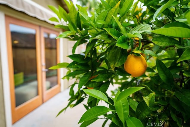 3163 Inclinado, San Clemente, CA 92673 - exterior view
