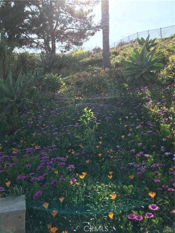 3163 Inclinado, San Clemente, CA 92673 - view of yard