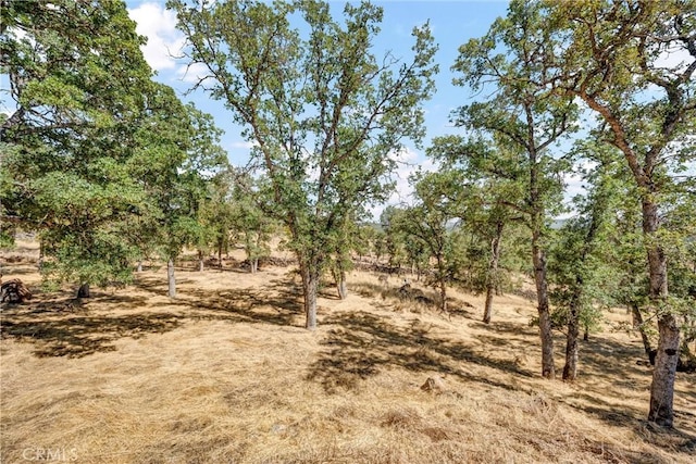 18522 Rock Ridge Ct, Hidden Valley Lake, CA 95467 - photo 40
