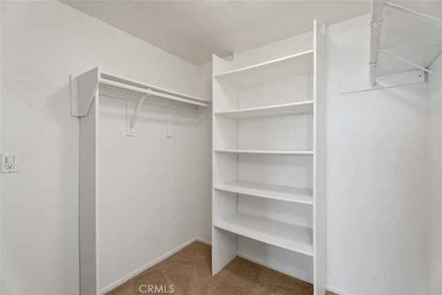 260 Cagney Ln Unit 206, Newport Beach, CA 92663 - spacious closet with carpet flooring