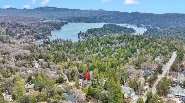 892 Nadelhorn Dr, Lake Arrowhead, CA 92352 - photo 47