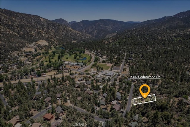 2309 Cedarwood Dr, Pine Mountain Club, CA 93222 - photo 1
