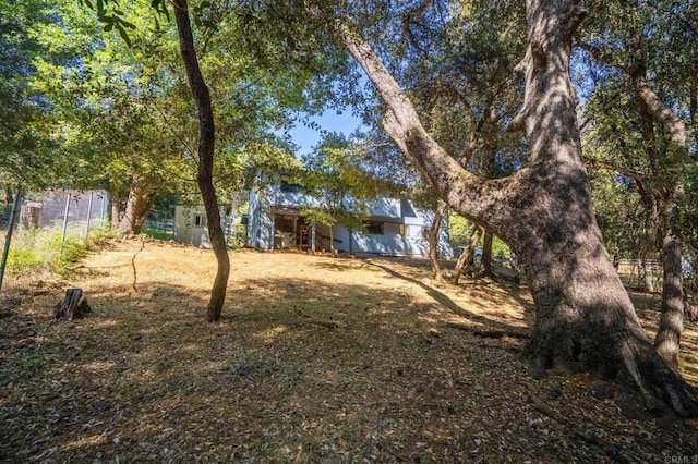 5041 Pine Ridge Ave, Julian, CA 92036 - view of yard