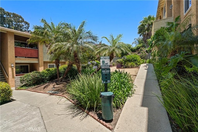 7003 Saranac St Unit 203, San Diego, CA 92115 - photo 24