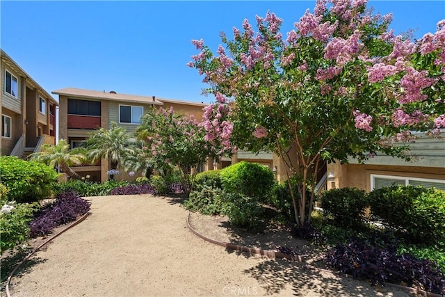 7003 Saranac St Unit 203, San Diego, CA 92115 - photo 25
