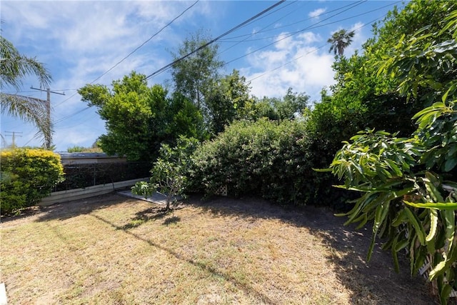 5064 N Berkeley Ave, San Bernardino, CA 92407 - view of yard