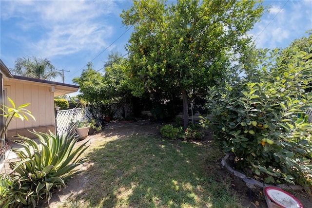 5064 N Berkeley Ave, San Bernardino, CA 92407 - view of yard