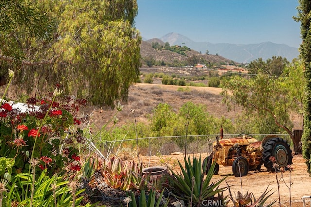 15455 Shelton Dr, Perris, CA 92570 - photo 58