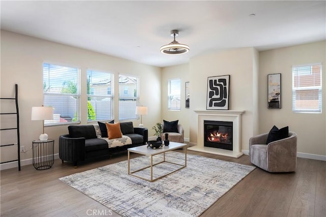 30316 Slate St, Murrieta, CA 92563 - living room with wood finished floors and a glass covered fireplace