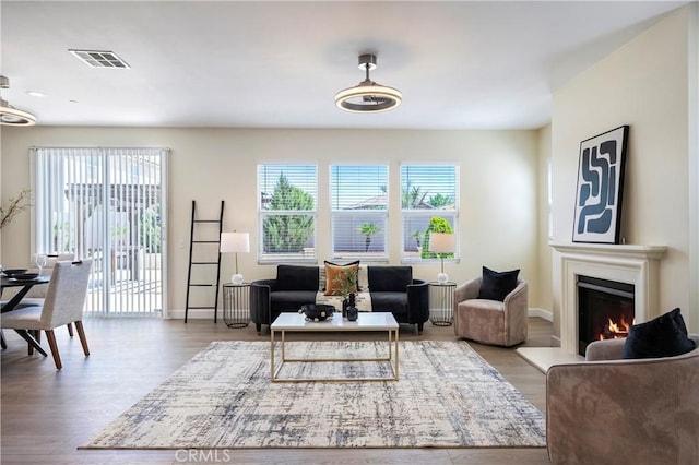 30316 Slate St, Murrieta, CA 92563 - living room featuring plenty of natural light, a glass covered fireplace, and wood finished floors