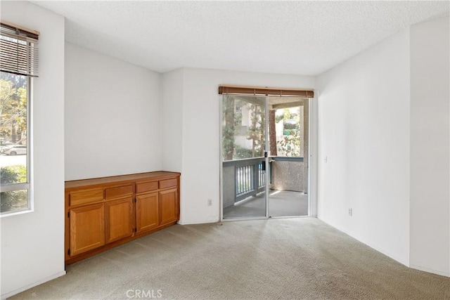 1441 Brett Pl Unit 148, San Pedro, CA 90732 - unfurnished room with light carpet, healthy amount of natural light, and a textured ceiling