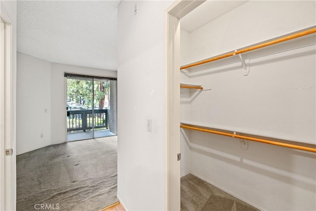 1441 Brett Pl Unit 148, San Pedro, CA 90732 - walk in closet featuring carpet flooring