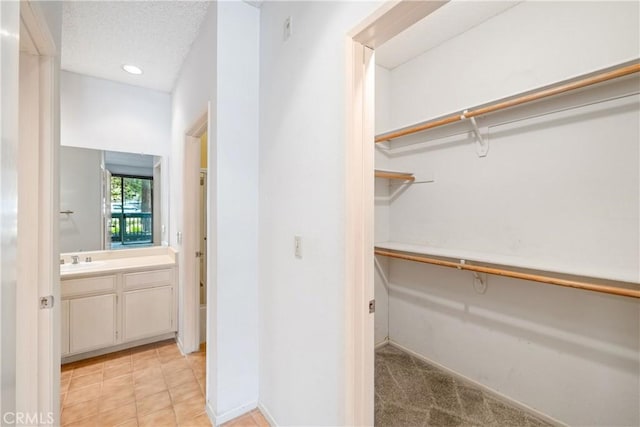 1441 Brett Pl Unit 148, San Pedro, CA 90732 - walk in closet with a sink