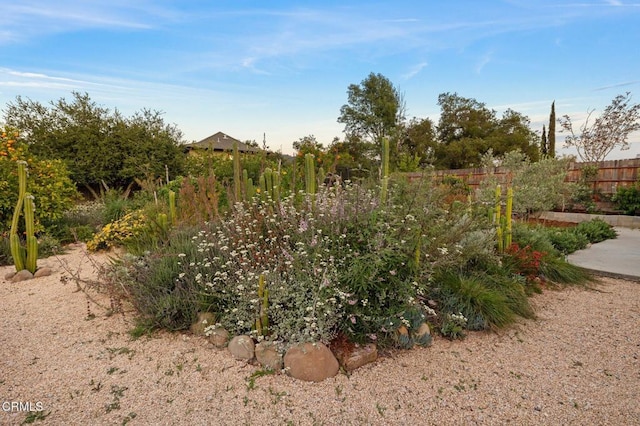 80 Watkins Way, Oak View, CA 93022 - view of yard