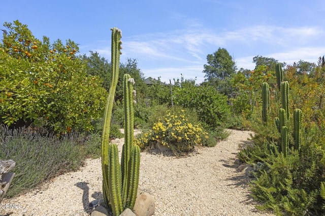 80 Watkins Way, Oak View, CA 93022 - view of local wilderness