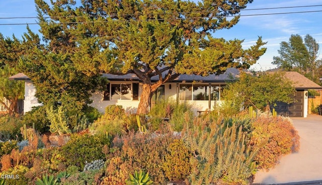 80 Watkins Way, Oak View, CA 93022 - view of property hidden behind natural elements featuring concrete driveway and an attached garage