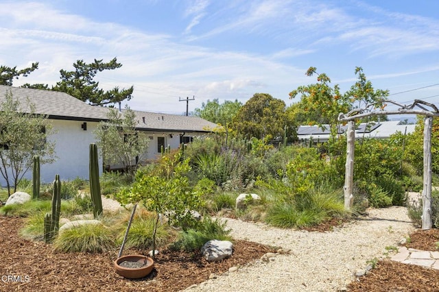 80 Watkins Way, Oak View, CA 93022 - view of yard