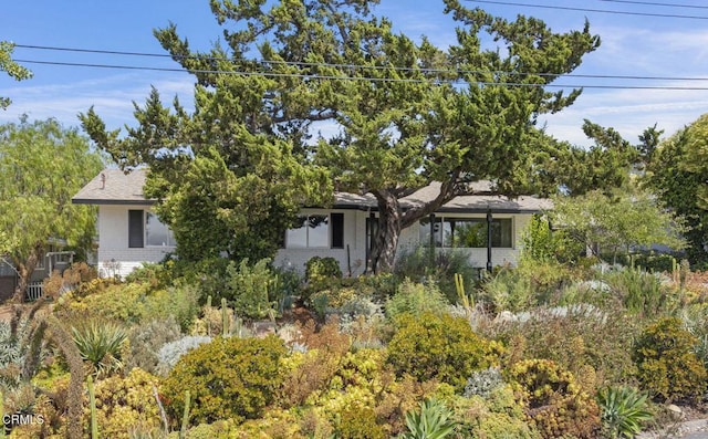 80 Watkins Way, Oak View, CA 93022 - view of property hidden behind natural elements with brick siding