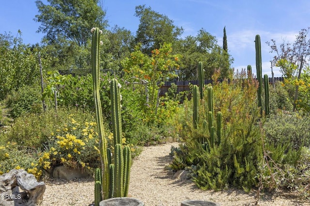 80 Watkins Way, Oak View, CA 93022 - view of local wilderness
