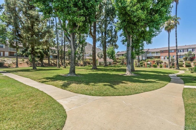 11923 Royal Rd Unit E, El Cajon, CA 92021 - photo 32