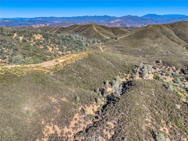 1034 Round Ball Rd, Clearlake Oaks, CA 95423 - photo 36