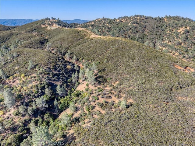1034 Round Ball Rd, Clearlake Oaks, CA 95423 - photo 13