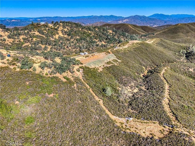 1034 Round Ball Rd, Clearlake Oaks, CA 95423 - photo 33
