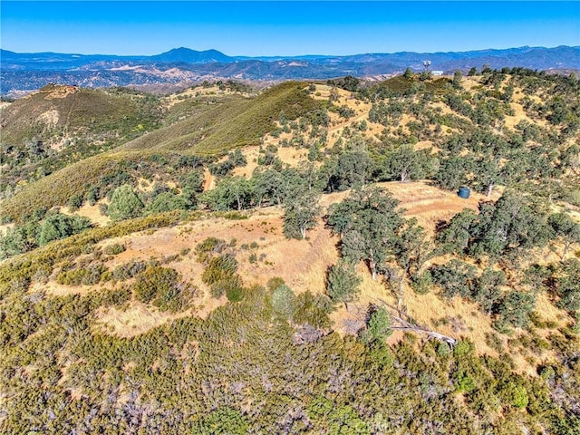 1034 Round Ball Rd, Clearlake Oaks, CA 95423 - photo 31