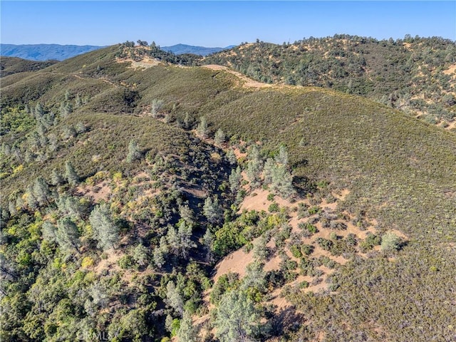 1034 Round Ball Rd, Clearlake Oaks, CA 95423 - photo 12