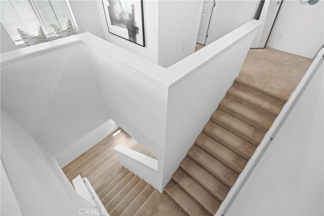 2239 Melogold Way, Corona, CA 92883 - stairway featuring carpet and baseboards