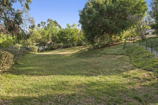 16122 Via Del Alba, Rancho Santa Fe, CA 92067 - photo 29