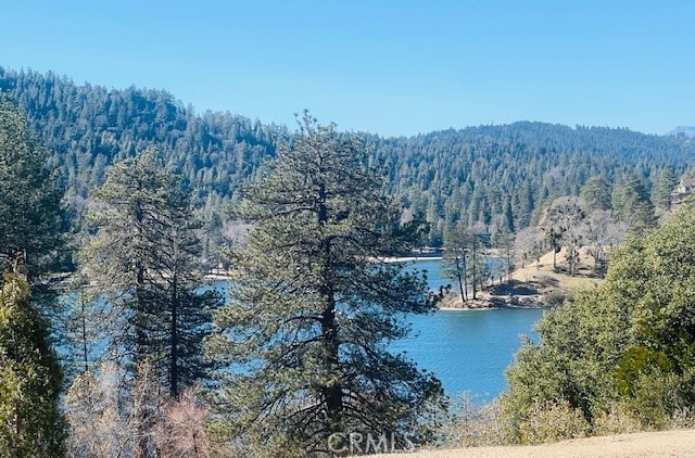 470 Dunant Dr, Crestline, CA 92325 - photo 22