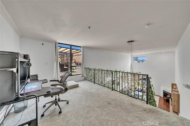 625 S Berendo St Unit 604, Los Angeles, CA 90005 - carpeted office space featuring crown molding and healthy amount of natural light