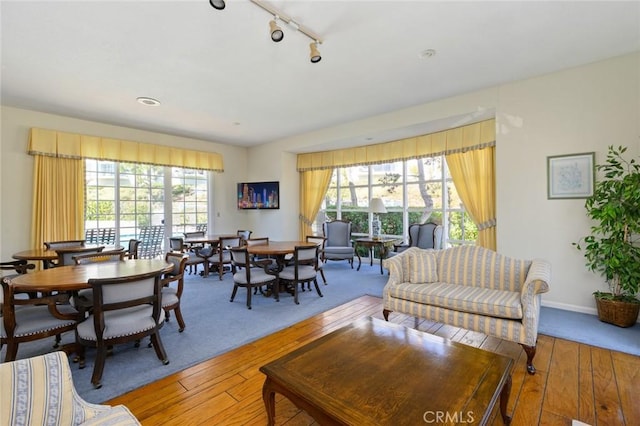 100 Scholz Plz Unit 205, Newport Beach, CA 92663 - living room with light wood-style floors and rail lighting