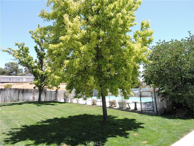 7050 Shale Rock Rd, Paso Robles, CA 93446 - view of fenced backyard