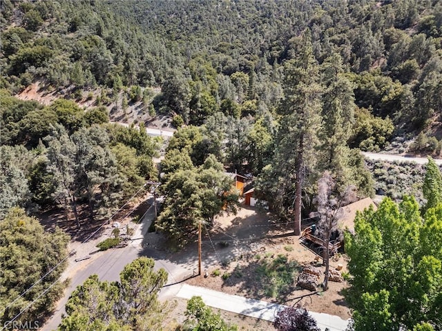 2520 Basel Ct, Pine Mountain Club, CA 93222 - photo 10