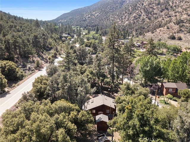 2520 Basel Ct, Pine Mountain Club, CA 93222 - photo 14