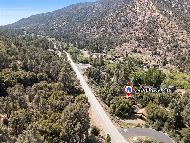 2520 Basel Ct, Pine Mountain Club, CA 93222 - photo 9