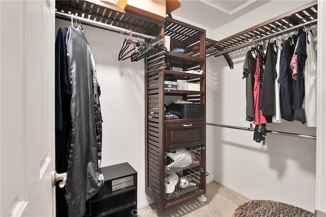 15558 Lookout Rd, Apple Valley, CA 92307 - view of walk in closet