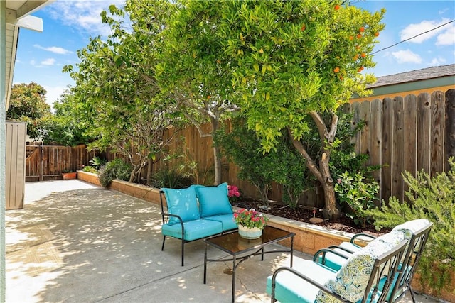 630 E Vista Del Gaviota Ave, Orange, CA 92865 - photo 43