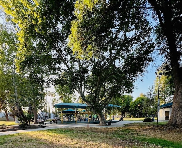 20134 Leadwell St Unit 337, Winnetka, CA 91306 - view of property's community