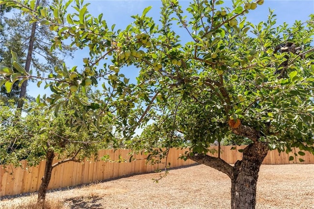 6169 Fern Ln, Paradise, CA 95969 - view of fenced backyard