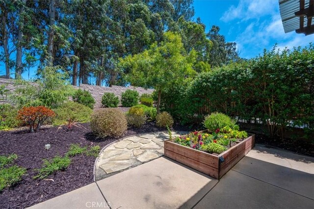 1061 Ford Dr, Nipomo, CA 93444 - view of patio / terrace featuring a garden