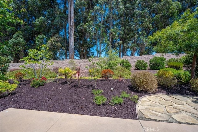 1061 Ford Dr, Nipomo, CA 93444 - view of yard