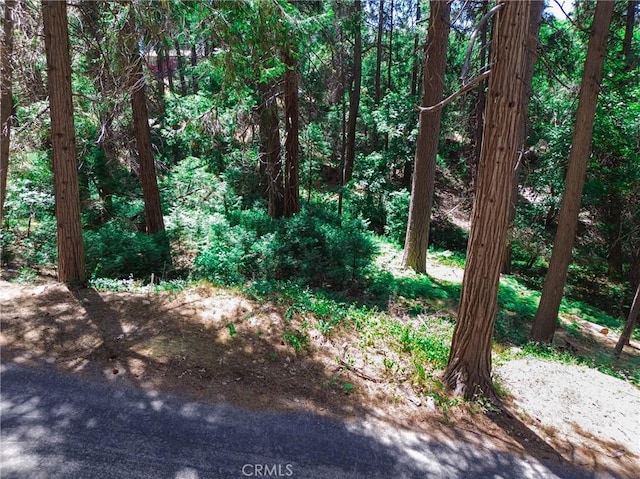 590 Electra Dr, Crestline, CA 92325 - photo 10
