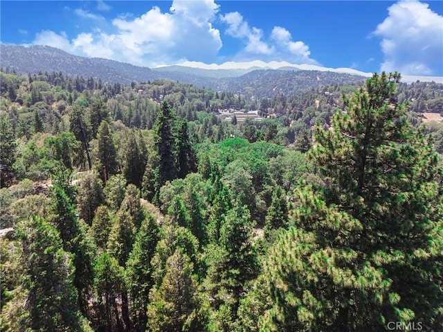 590 Electra Dr, Crestline, CA 92325 - photo 18
