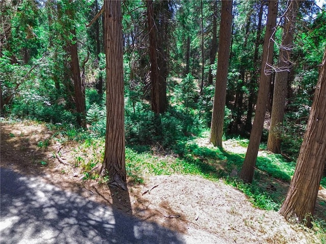 590 Electra Dr, Crestline, CA 92325 - photo 11